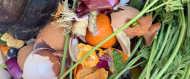 compost composting program food scraps waste busted eggshells and dirty rotten orange peels