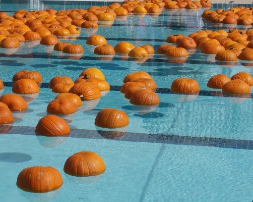 Pumpkin splash event