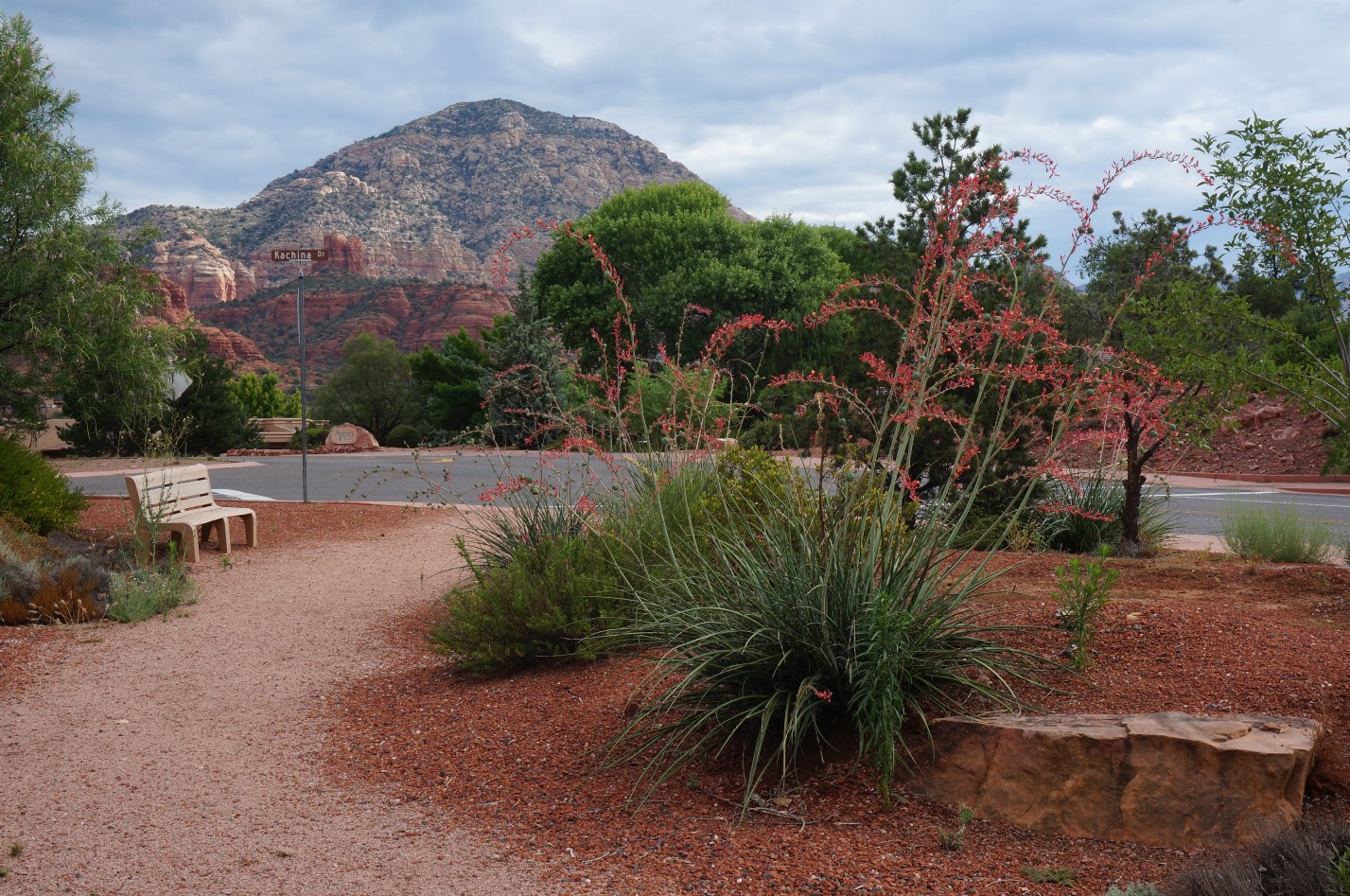 View from a bench