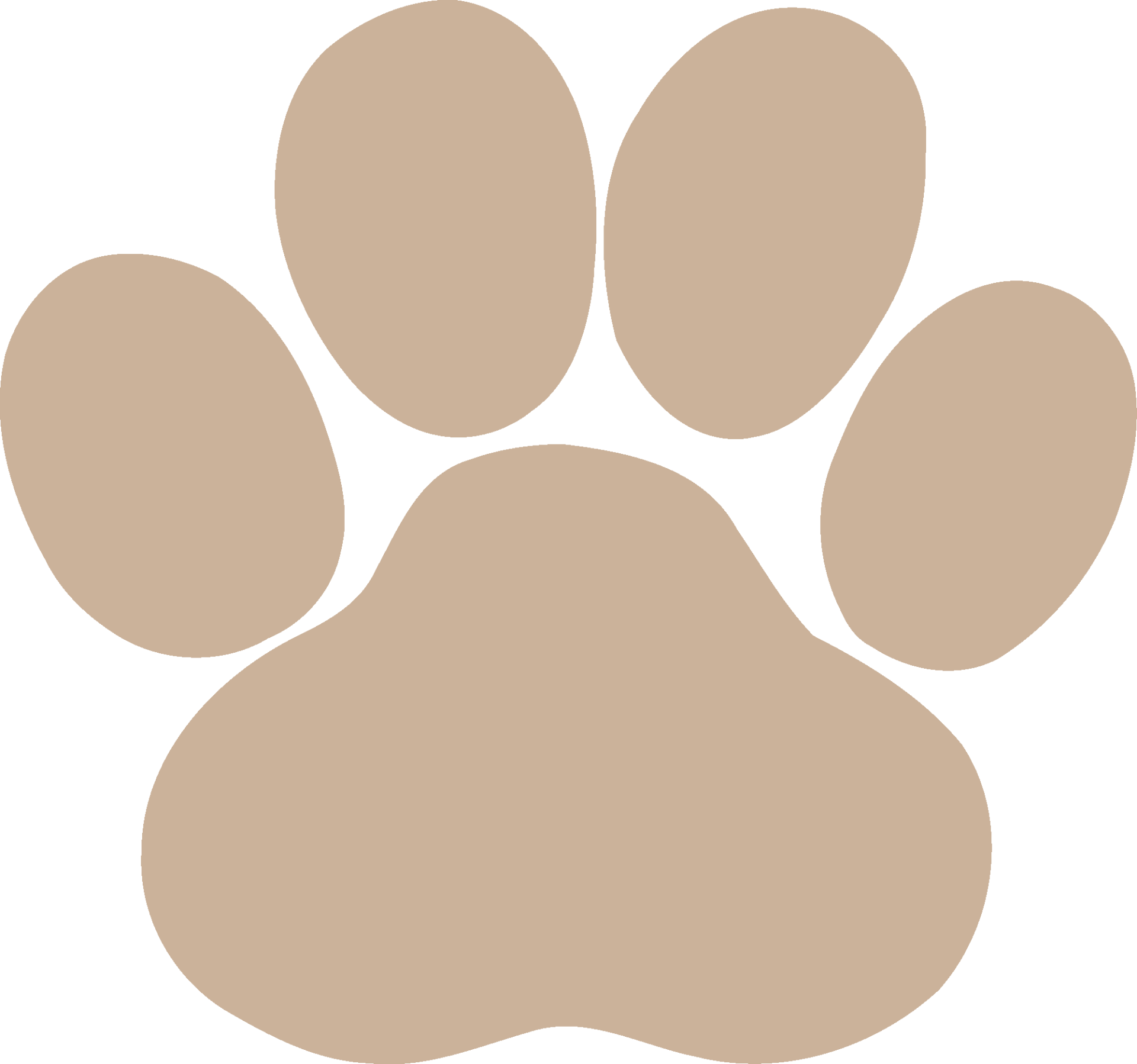 Dog paw print